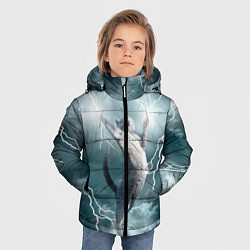 Куртка зимняя для мальчика Грозовой кошак, цвет: 3D-черный — фото 2
