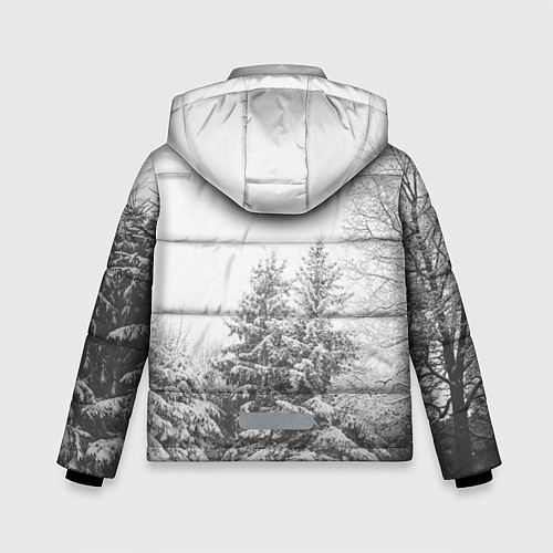 Зимняя куртка для мальчика Winter Storm / 3D-Светло-серый – фото 2
