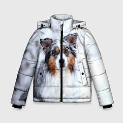 Куртка зимняя для мальчика Австралийская овчарка, цвет: 3D-светло-серый