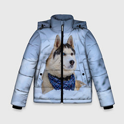 Куртка зимняя для мальчика Хаски, цвет: 3D-светло-серый