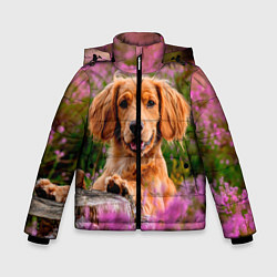 Куртка зимняя для мальчика Dog, цвет: 3D-черный