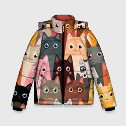 Куртка зимняя для мальчика Котики мультяшные, цвет: 3D-черный