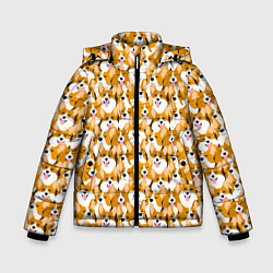 Зимняя куртка для мальчика Собаки Корги