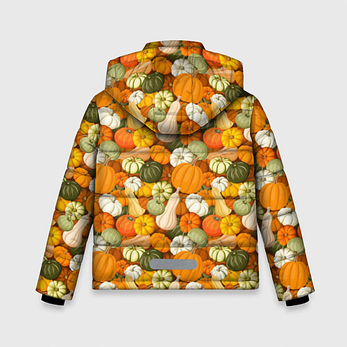 Зимняя куртка для мальчика Тыквы Pumpkin / 3D-Светло-серый – фото 2