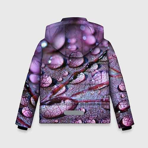 Зимняя куртка для мальчика Капели на листочке / 3D-Светло-серый – фото 2