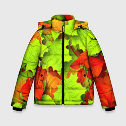 Зимняя куртка для мальчика Зелёные осенние листья