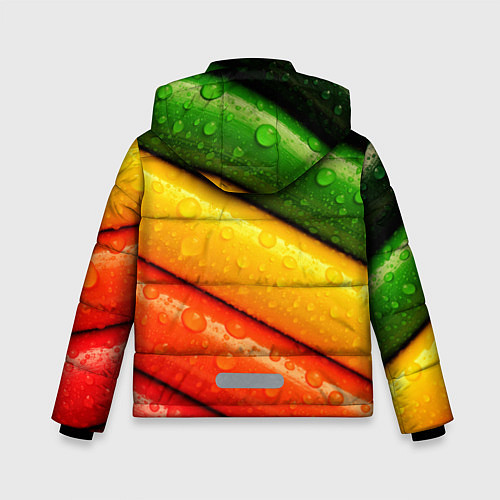Зимняя куртка для мальчика Мокрые карандаши / 3D-Светло-серый – фото 2