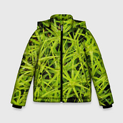 Куртка зимняя для мальчика Сфагнум, цвет: 3D-красный