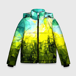Куртка зимняя для мальчика Green abstract colors, цвет: 3D-черный