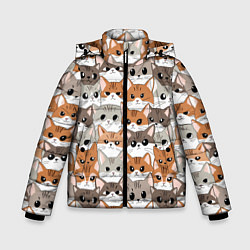 Зимняя куртка для мальчика Паттерн милые котики