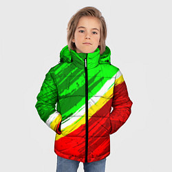 Куртка зимняя для мальчика Расцветка Зеленоградского флага, цвет: 3D-черный — фото 2