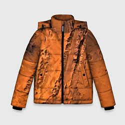 Зимняя куртка для мальчика Каналы на Марсе - star dust