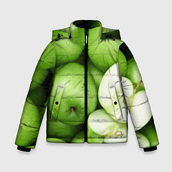 Зимняя куртка для мальчика Яблочная