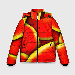 Куртка зимняя для мальчика Арбуз, цвет: 3D-черный