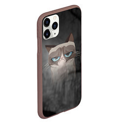 Чехол iPhone 11 Pro матовый Grumpy Cat, цвет: 3D-коричневый — фото 2