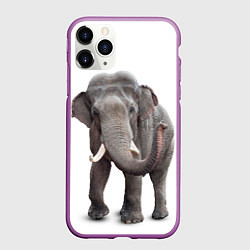 Чехол iPhone 11 Pro матовый Большой слон, цвет: 3D-фиолетовый