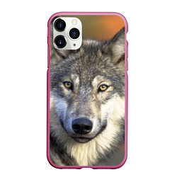 Чехол iPhone 11 Pro матовый Улыбка волка