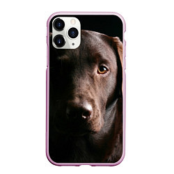 Чехол iPhone 11 Pro матовый Лабрадор