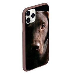 Чехол iPhone 11 Pro матовый Лабрадор, цвет: 3D-коричневый — фото 2