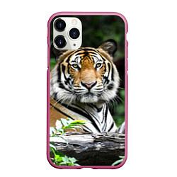 Чехол iPhone 11 Pro матовый Тигр в джунглях, цвет: 3D-малиновый