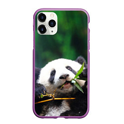 Чехол iPhone 11 Pro матовый Панда на ветке