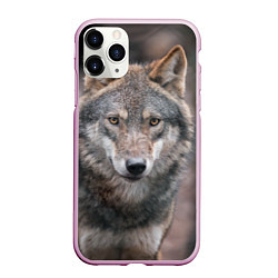Чехол iPhone 11 Pro матовый Волк - санитар леса, цвет: 3D-розовый