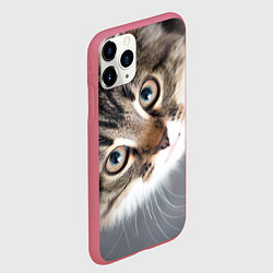 Чехол iPhone 11 Pro матовый Кошачий взгляд, цвет: 3D-малиновый — фото 2