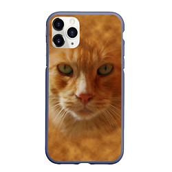Чехол iPhone 11 Pro матовый Рыжий котик, цвет: 3D-серый