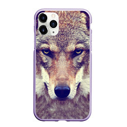 Чехол iPhone 11 Pro матовый Angry Wolf, цвет: 3D-светло-сиреневый