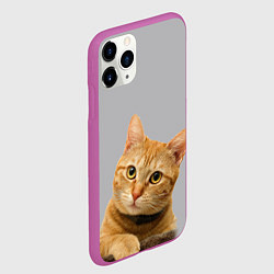 Чехол iPhone 11 Pro матовый Рыжий котик, цвет: 3D-фиолетовый — фото 2