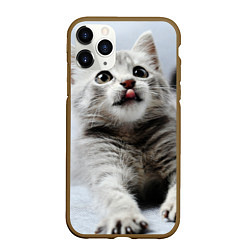 Чехол iPhone 11 Pro матовый Серый котенок