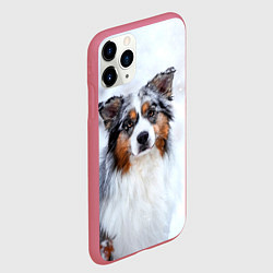 Чехол iPhone 11 Pro матовый Австралийская овчарка, цвет: 3D-малиновый — фото 2