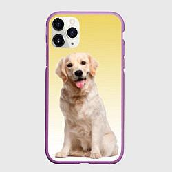 Чехол iPhone 11 Pro матовый Лабрадор ретривер пес, цвет: 3D-фиолетовый