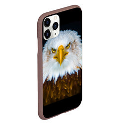 Чехол iPhone 11 Pro матовый Белоголовый орлан, цвет: 3D-коричневый — фото 2