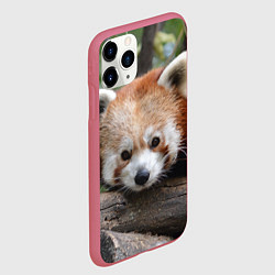 Чехол iPhone 11 Pro матовый Красная панда, цвет: 3D-малиновый — фото 2