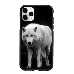 Чехол iPhone 11 Pro матовый Белый волк на темном фоне