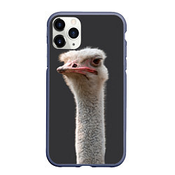 Чехол iPhone 11 Pro матовый Голова страуса