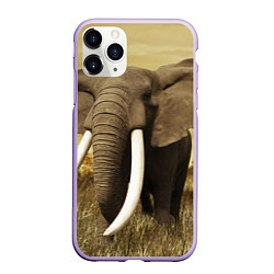 Чехол iPhone 11 Pro матовый Могучий слон