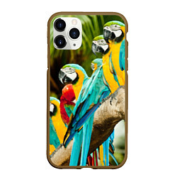 Чехол iPhone 11 Pro матовый Попугаи на ветке, цвет: 3D-коричневый