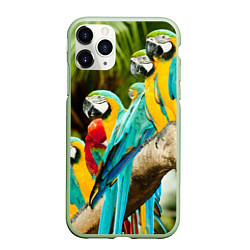 Чехол iPhone 11 Pro матовый Попугаи на ветке, цвет: 3D-салатовый