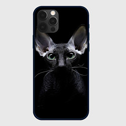 Чехол для iPhone 12 Pro Max Сфинкс 2, цвет: 3D-черный