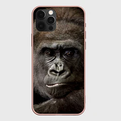Чехол iPhone 12 Pro Max Глаза гориллы