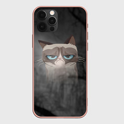 Чехол iPhone 12 Pro Max Grumpy Cat