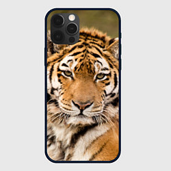 Чехол iPhone 12 Pro Max Милый тигр