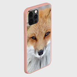 Чехол для iPhone 12 Pro Max Зимняя лиса, цвет: 3D-светло-розовый — фото 2