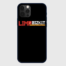 Чехол для iPhone 12 Pro Max Limp Bizkit, цвет: 3D-черный