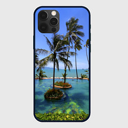 Чехол для iPhone 12 Pro Max Таиланд, цвет: 3D-черный