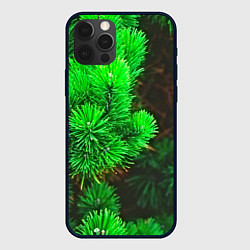 Чехол для iPhone 12 Pro Max Зелёная ель, цвет: 3D-черный