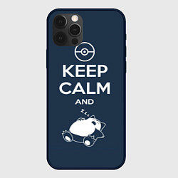 Чехол для iPhone 12 Pro Max Keep Calm & Squirtle, цвет: 3D-черный