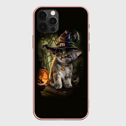 Чехол для iPhone 12 Pro Max Ведьмин котенок, цвет: 3D-светло-розовый